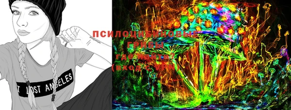 крисы Нефтекумск