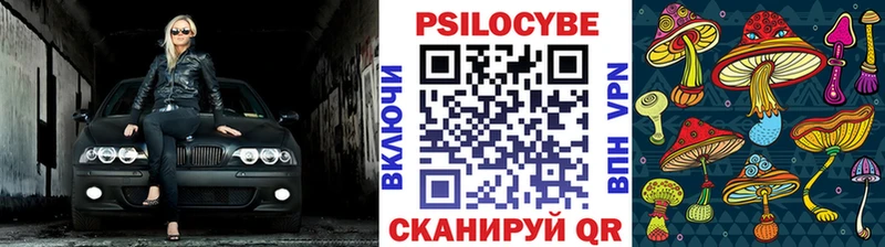 Галлюциногенные грибы прущие грибы  Печора 