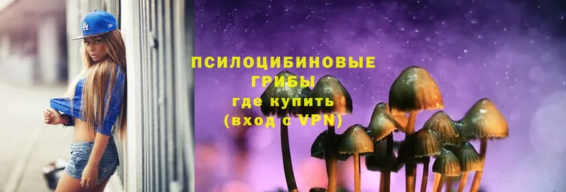 Псилоцибиновые грибы MAGIC MUSHROOMS Печора