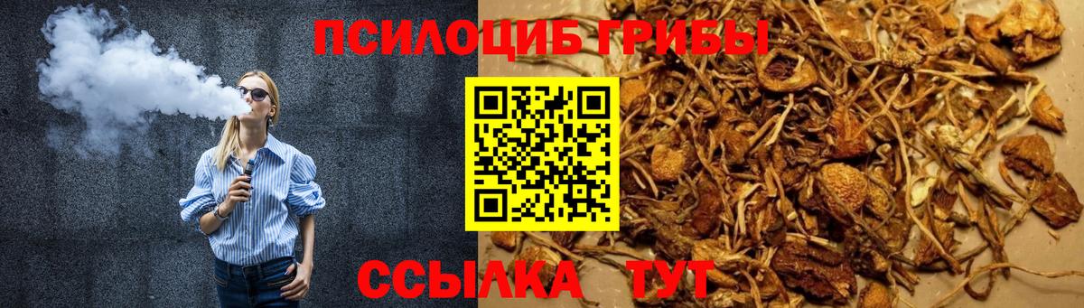Галлюциногенные грибы Psilocybine cubensis  Вход с VPN  Печора 